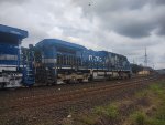 RUMO 9881
